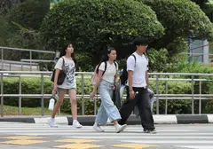 The traineeship programme is for graduates from the Institutes of Technical Education, polytechnics and universities.