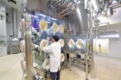 All clusters except biomedical manufacturing mark expansions year on year.