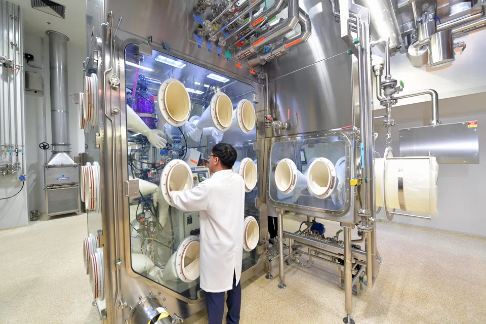 All clusters except biomedical manufacturing mark expansions year on year.