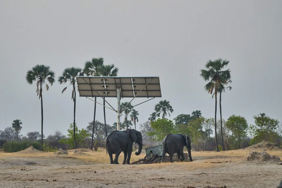 Solar panels in Hwange National Park, Zimbabwe. The Global South holds 70% of the world’s wind and solar potential, and 50% of the minerals necessary for the energy transition. 