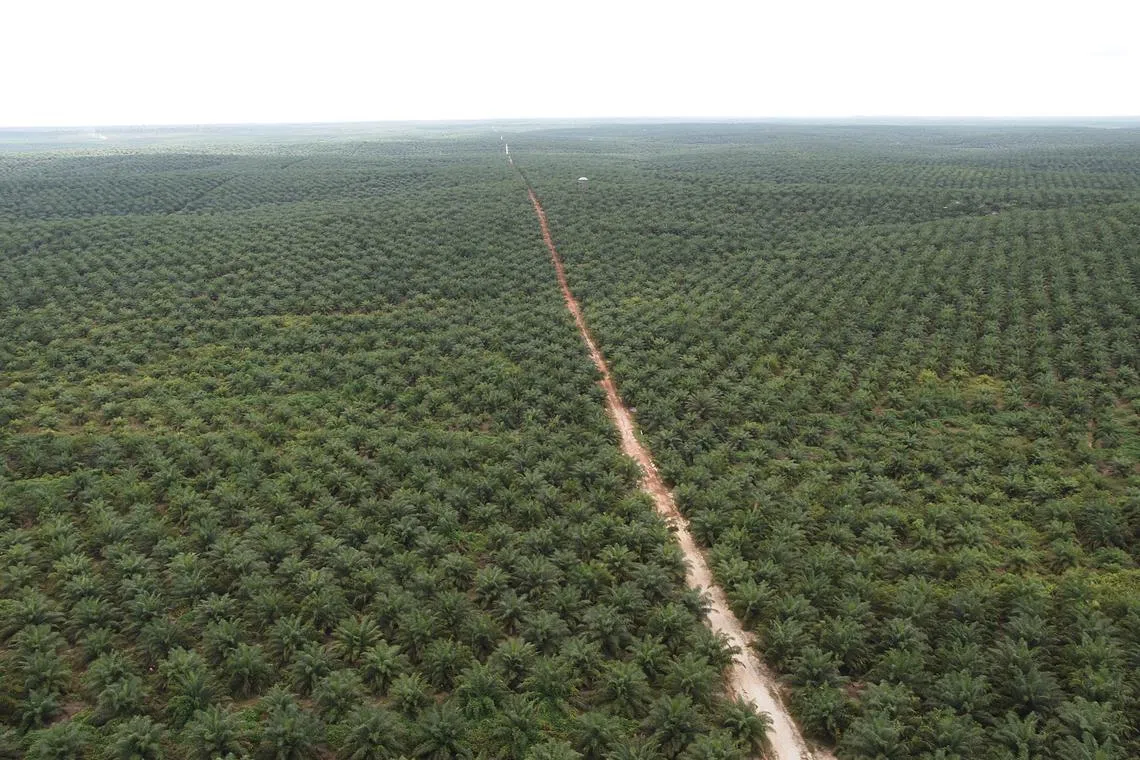 The stock call upgrade comes in tandem with RHB’s rating change for the plantation sector to “overweight” from “neutral”.