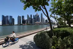 The recommendations by SBF apply to smaller businesses, which make up 84% of SGX listings, since not all listings (including secondary-listed issuers) are subject to sustainability reporting requirements.  