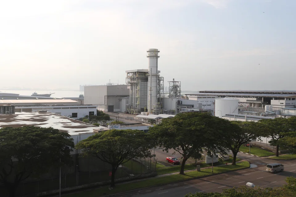 Sumitomo Mitsui Banking Corporation's Jeanne Soh said the banks were not initially informed the Tuaspring project comprised not only the desalination plant (above) but a power plant as well.