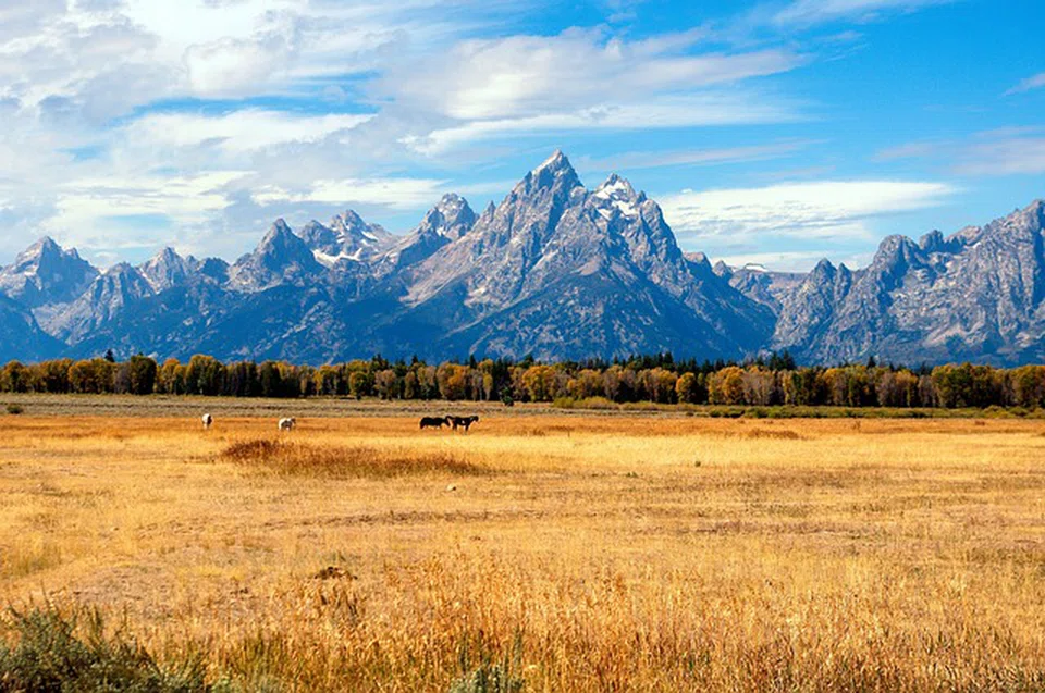 Jackson Hole, where the US Federal Reserve hosts economists, central bankers and policymakers from across the world at its annual three-day economic policy symposium. This year's took place Aug 25-27.