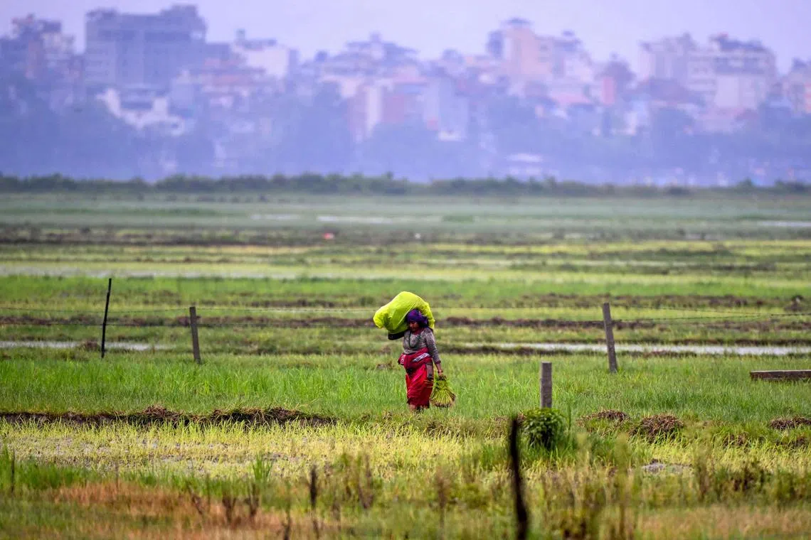 The agricultural sector could be a gateway for philanthropies to play a bigger role towards decarbonisation of the economy.