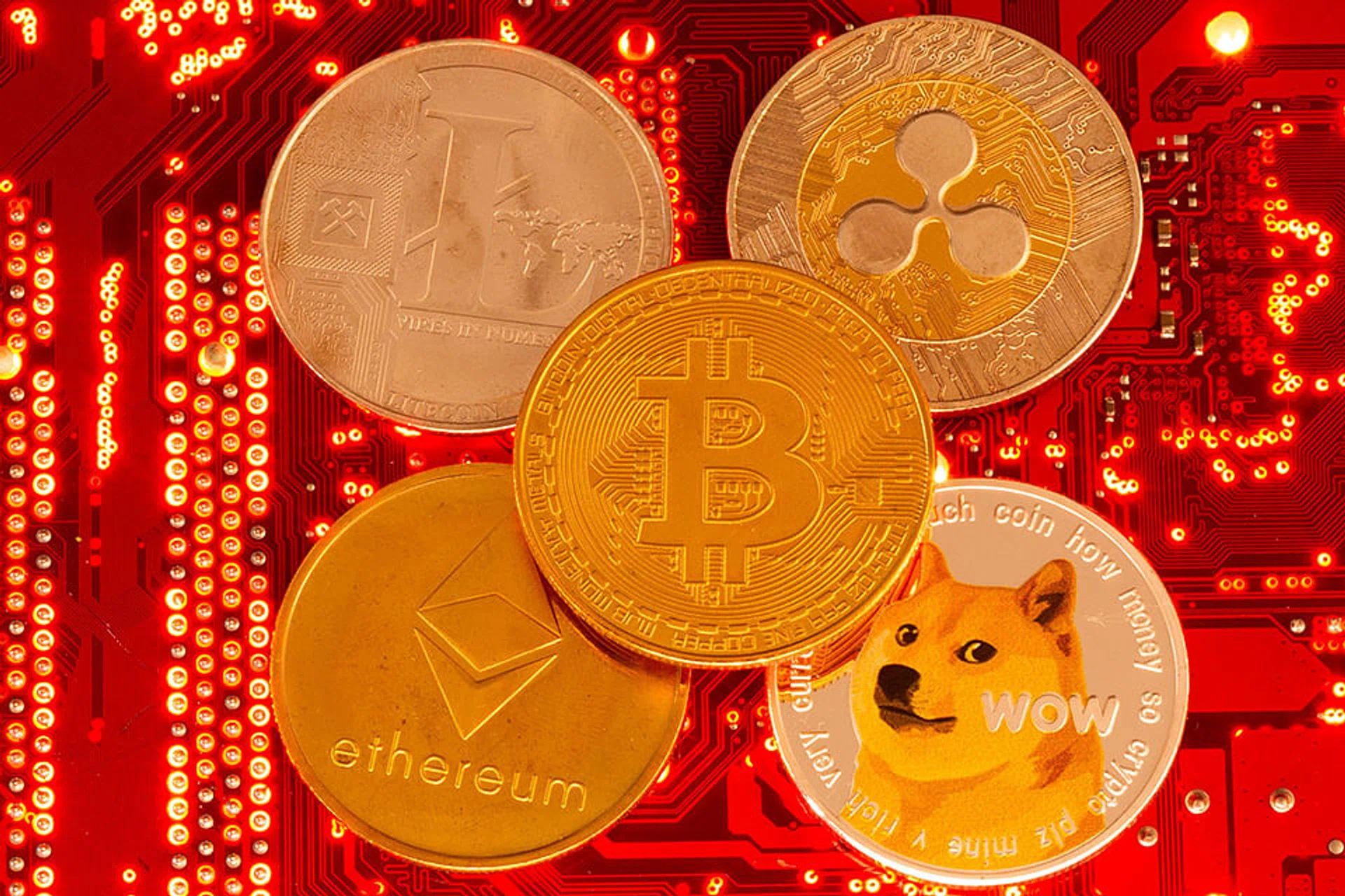 Young crypto traders rush for riches before the pros - The Business Times