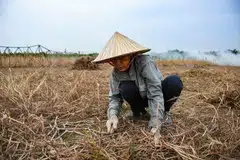 Thai exporters have said a price cartel would be unfeasible and would make Thailand and Vietnam uncompetitive.