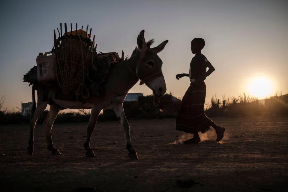A boy at the village of El Gel, near the town of K'elafo, Ethiopia, in January 2023. According to the United Nations, drought plunged 12 million people into "acute food insecurity" in Ethiopia, where a deadly conflict has also ravaged the north of the country.