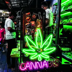 Three years ago, Thailand became one of the first countries in Asia to decriminalise the recreational use of  cannabis, but without any comprehensive rules to govern the sector.