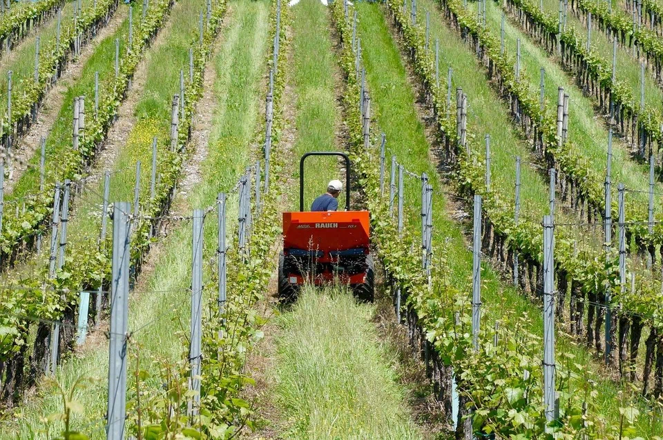 Equipment used in wineries across the world, such as tractors, run on fuel sources which have doubled in price since the Iran war broke out. 