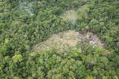 Carbon markets have been facing integrity challenges over the last few years as reports of greenwashing scandals have emerged. 