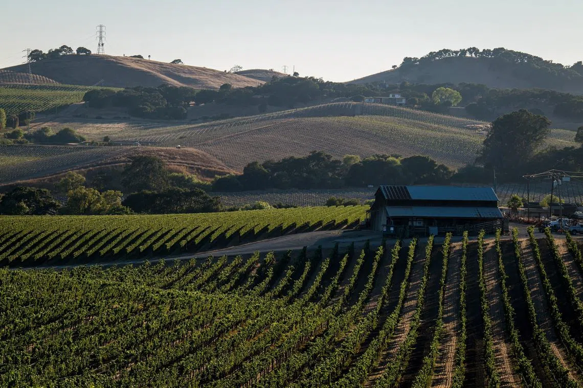 Napa has long been the US’s primo wine destination, noted for high-end accommodations and pricey dining rooms. 
