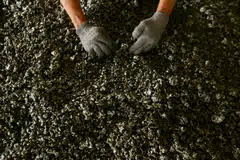 Global prices of the metal, used for electric vehicle batteries and to make stainless steel, crashed by 45 per cent in 2023 and have failed to recover this year. 