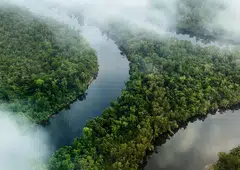 A view of the Southern Cardamom Redd+ project, which protects 497,000 ha of tropical rainforest in south-west Cambodia. The project's credits, along with those of 10 others, are included in the Nature X contract.