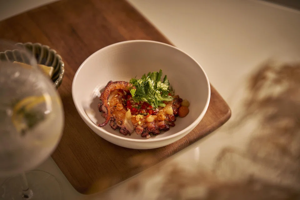 Grilled octopus in romesco sauce.