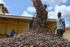 Brazil produces almost 40 per cent of the world’s coffee and the country has undergone droughts every year since 2020, resulting in global coffee demand outstripping supply.