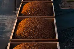 Iron ore prices have fallen by about a fifth this year. 