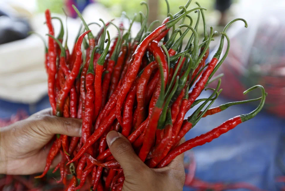 Demand for chilli is high in Indonesia; bad harvests and price hikes can cause public uproar.