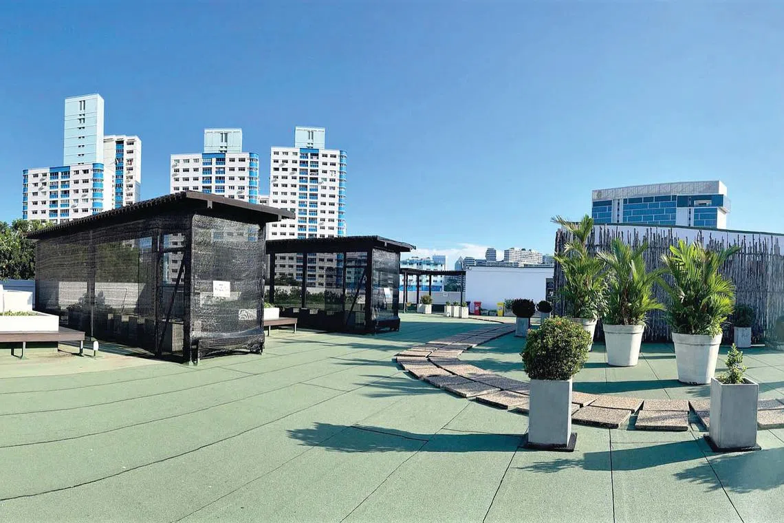 Striving for a sustainable future