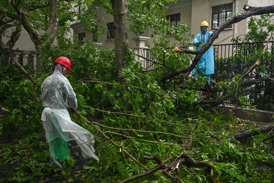 The municipal news service said the typhoon had caused “significant damage across the city”, felling more than 1,800 trees and leaving 30,000 households without electricity.