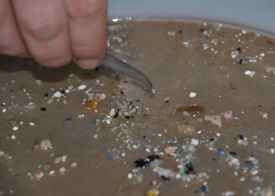 Microplastics have been detected almost everywhere on Earth, from the deepest oceans to the highest mountains, as well as in the air, water, soil and food chain.