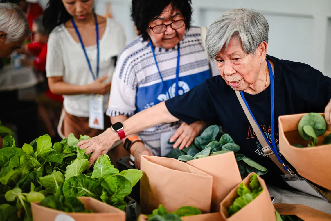 Healthy Harvest is part of a two-year tie-up between Prudential and the Ministry of Sustainability and the Environment’s SG Eco Fund, which aims to promote climate resilience and foster social inclusion in the community.