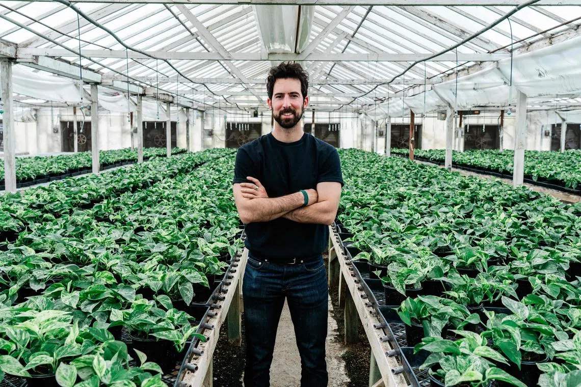 Lionel Mora, co-founder of French startup Neoplants, with Neo Px plants. He says: “It’s the equivalent of up to 30 regular houseplants in terms of air purification.”