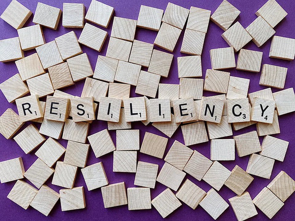 Resilience, an essential element of competitive advantage, is not about getting one thing right but getting many things right, at the same time. 