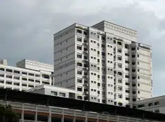 Prime Minister Lee Hsien Loong said in his New Year message that the authorities are sparing no efforts to build more HDB flats and keep public housing affordable.