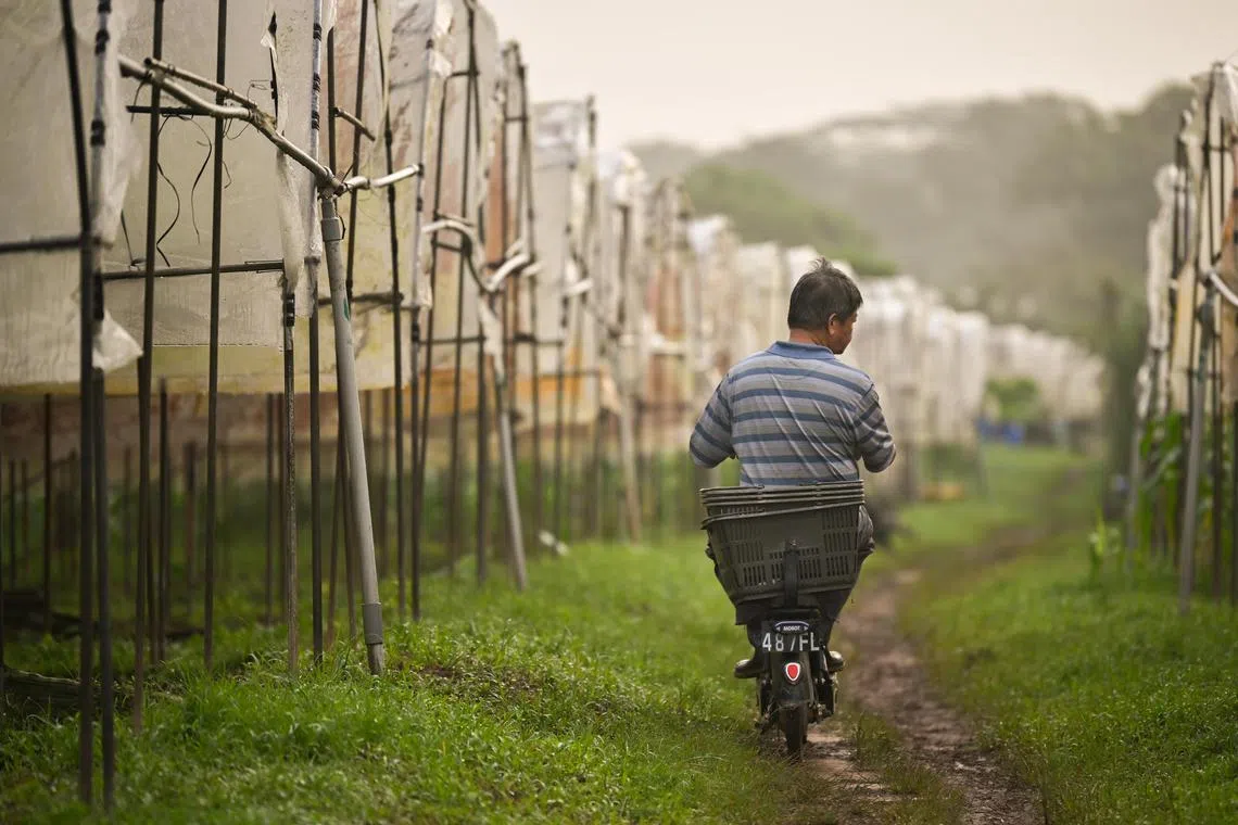 While we have long quantified primary goods produced on the land, such as timber or wheat, we have fallen short on measuring less-tangible assets such as the state of biodiversity, air, water and soil health. 