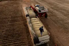 China has made a largely successful bid in recent years to shift the country’s dependence to other, less antagonistic, suppliers such as Brazil. 