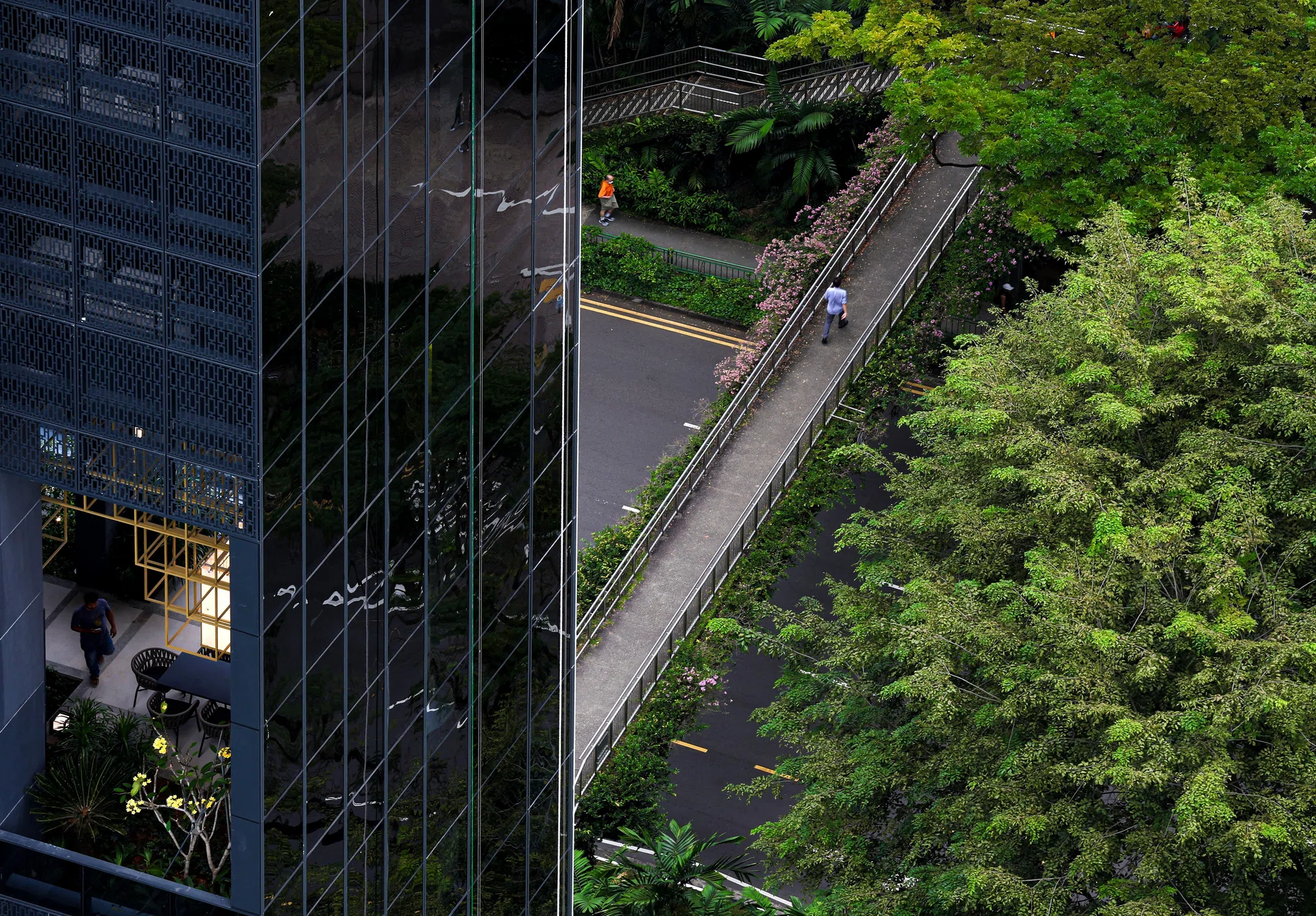 Stay the course: 5 inconvenient climate truths Singapore boards must address