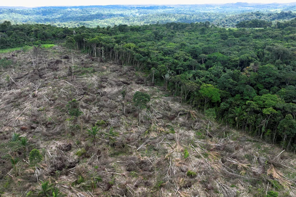 According to preliminary satellite data from space research agency INPE, 5,153 square km of the Amazon are cleared in 2023, a 49.9 per cent drop from 2022.
