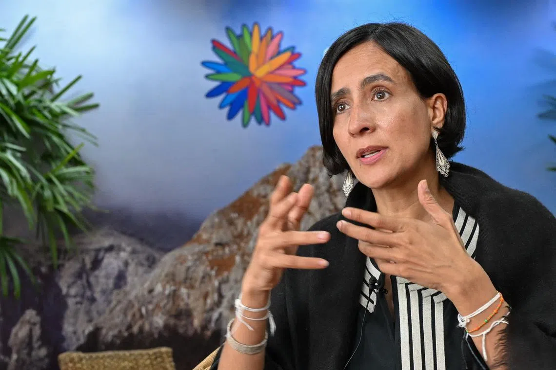 Colombia's Environment Minister and president of COP16, Susana Mohamad told AFP that the Global Biodiversity Framework Fund “needs more money.”
