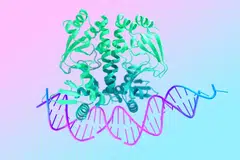 With the latest incarnation of AlphaFold, researchers at DeepMind and sister company Isomorphic Labs have mapped the behaviour for all of life’s molecules, including human DNA.