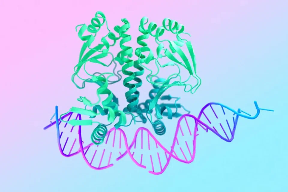 With the latest incarnation of AlphaFold, researchers at DeepMind and sister company Isomorphic Labs have mapped the behaviour for all of life’s molecules, including human DNA.