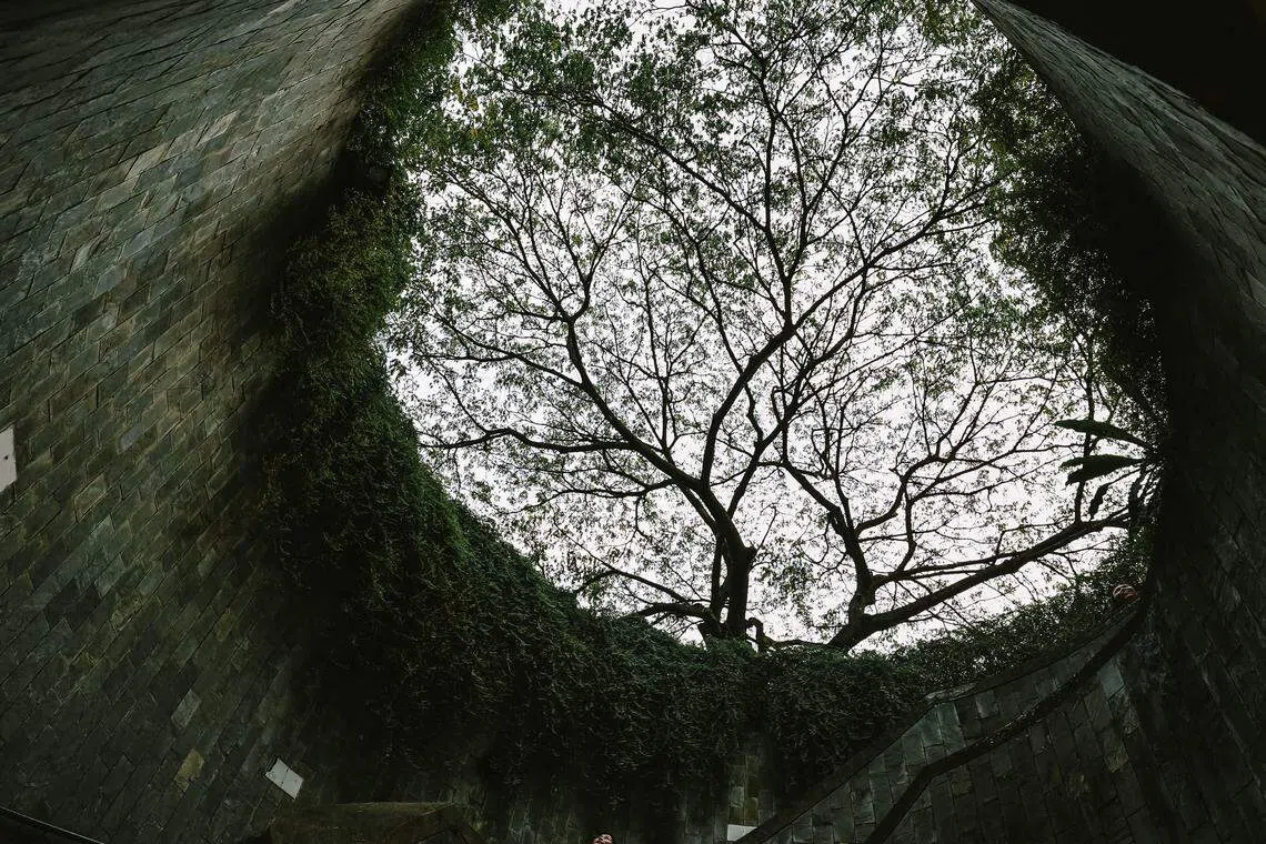 In the absence of sustainability-related expertise, companies are hiring candidates with strong operational or strategic backgrounds – reflecting the challenges of finding ideal candidates for a multi-faceted role.