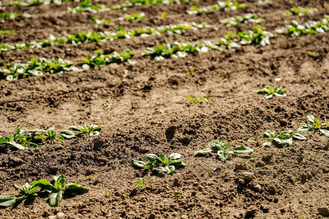 Global temperatures are rising, and climate commitments are under threat, even as war has intensified carbon emissions.