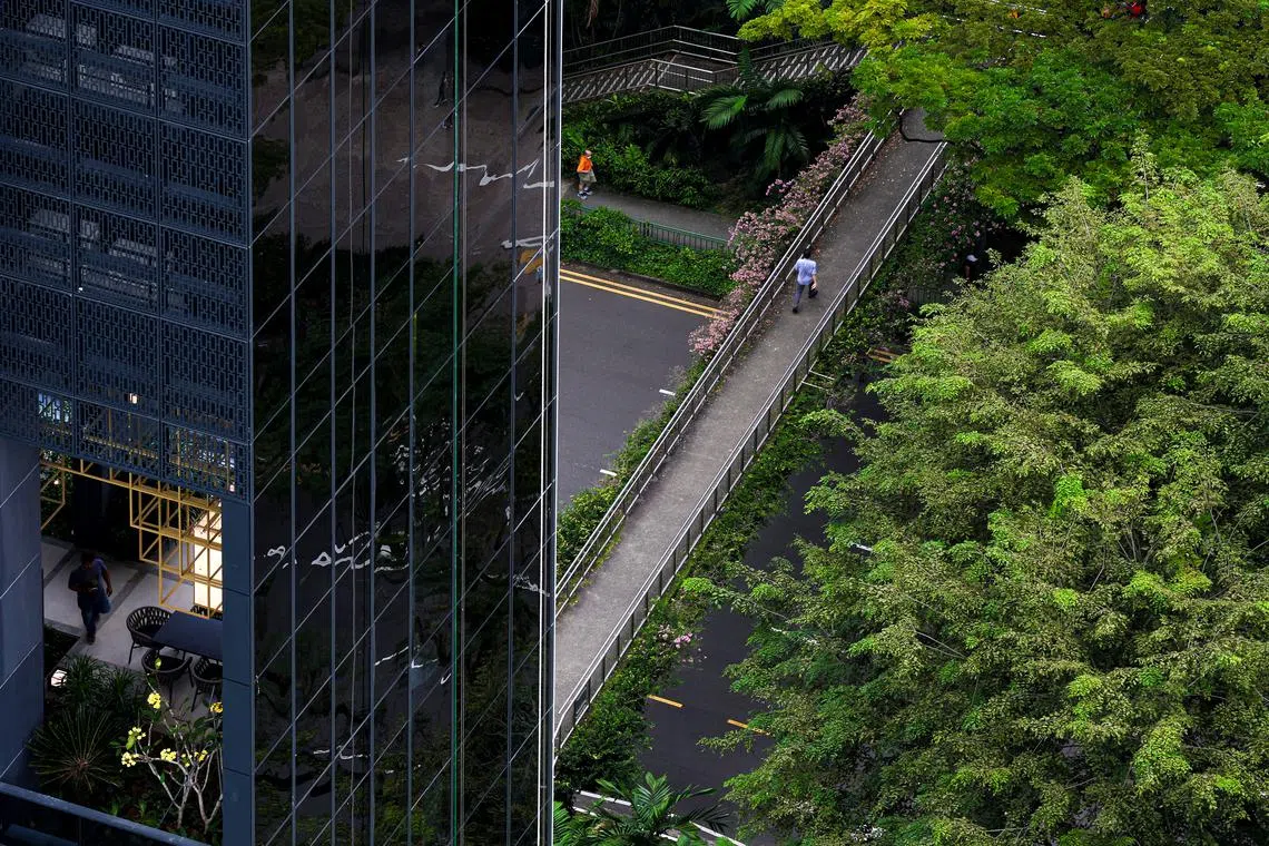 By learning from case studies of poor practice and by understanding the impact of deceptive practices, organisations can navigate the complex landscape of ESG disclosures.