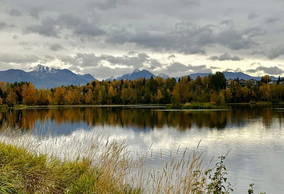  Alaskan fall colours.