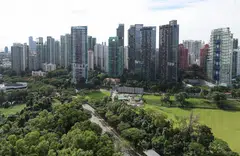 Most new launches in the fourth quarter of this year will be in the suburbs.