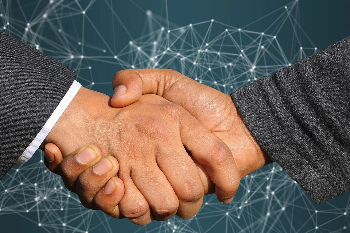 Partnerships enable companies to navigate the unique challenges of different markets by providing critical localisation support, building trust, and fostering innovative thinking.