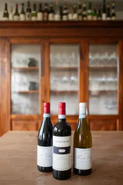 Three single-vineyard wines produced by Tiberio, at the estate in Cugnoli, Italy, in the country's Abruzzo region.