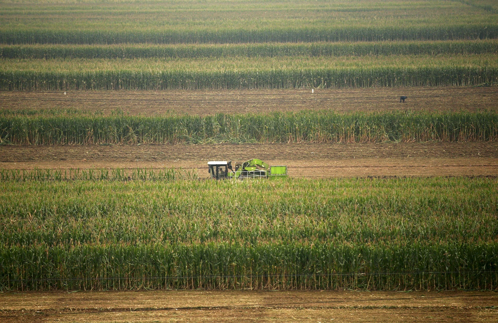 World food prices rose in March as Iran war lifted energy costs