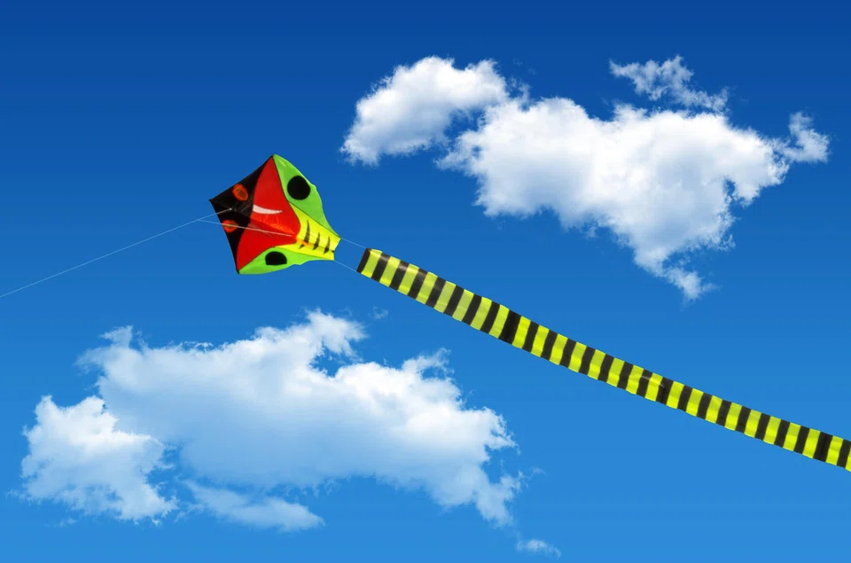 By pushing and pulling on the familiar notion that there’s nothing new under the sun, Iyengar accomplishes what she advises her readers to do: She creates something new and meaningful.