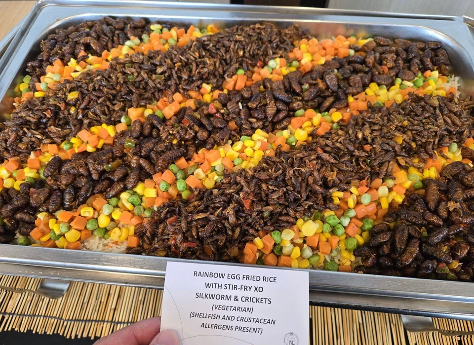 Insect products that are found to be non-compliant with the Singapore Food Agency's standards will not be allowed for sale.