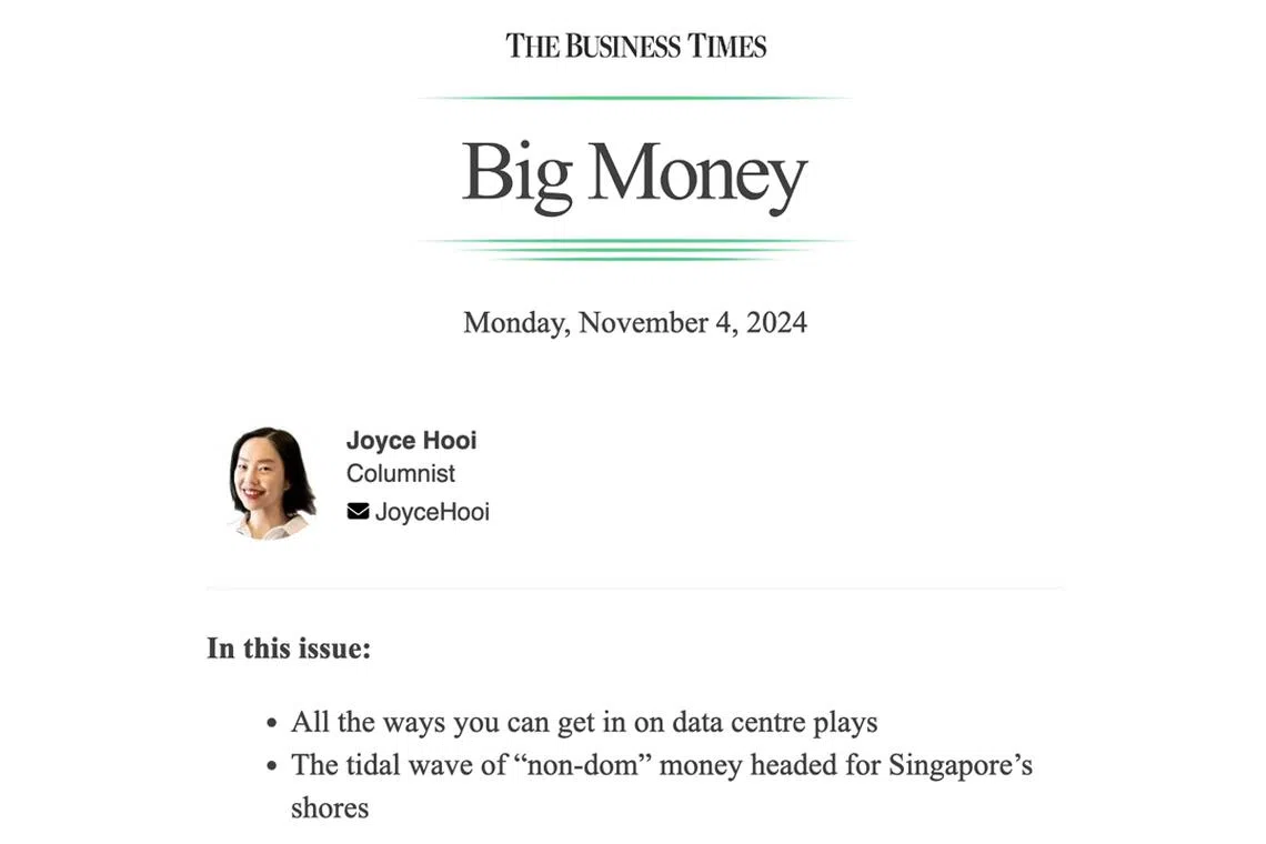 The data centre sector as a whole also remains at the mercy of still-high interest rates or potential oversupply, writes BT columnist Joyce Hooi.