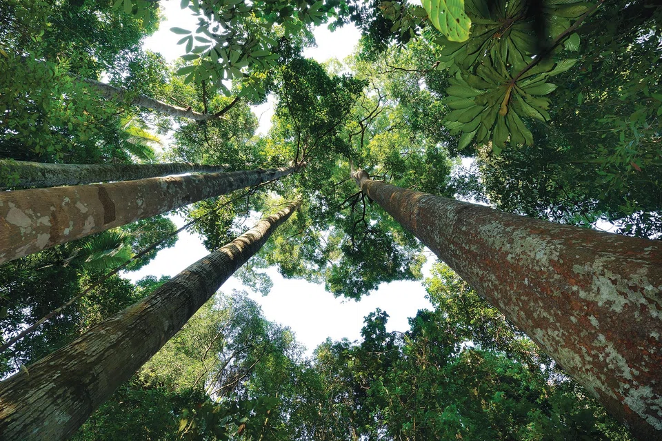 Reduced fossil fuel use and increased demand for land during climate change mitigation adversely affect agricultural production and pushes up food prices. 