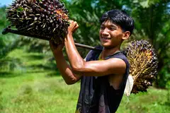 A palm oil worker in Indonesia. "We are looking beyond tomorrow," says Olivier Tichit of Musim Mas.  "How do we keep the youth now on the farm? How do we make it so that they will have a good living income and be better equipped to be better farm managers?"