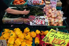 Price gains are still high by Japan’s standards after more than a decade of deflation. 